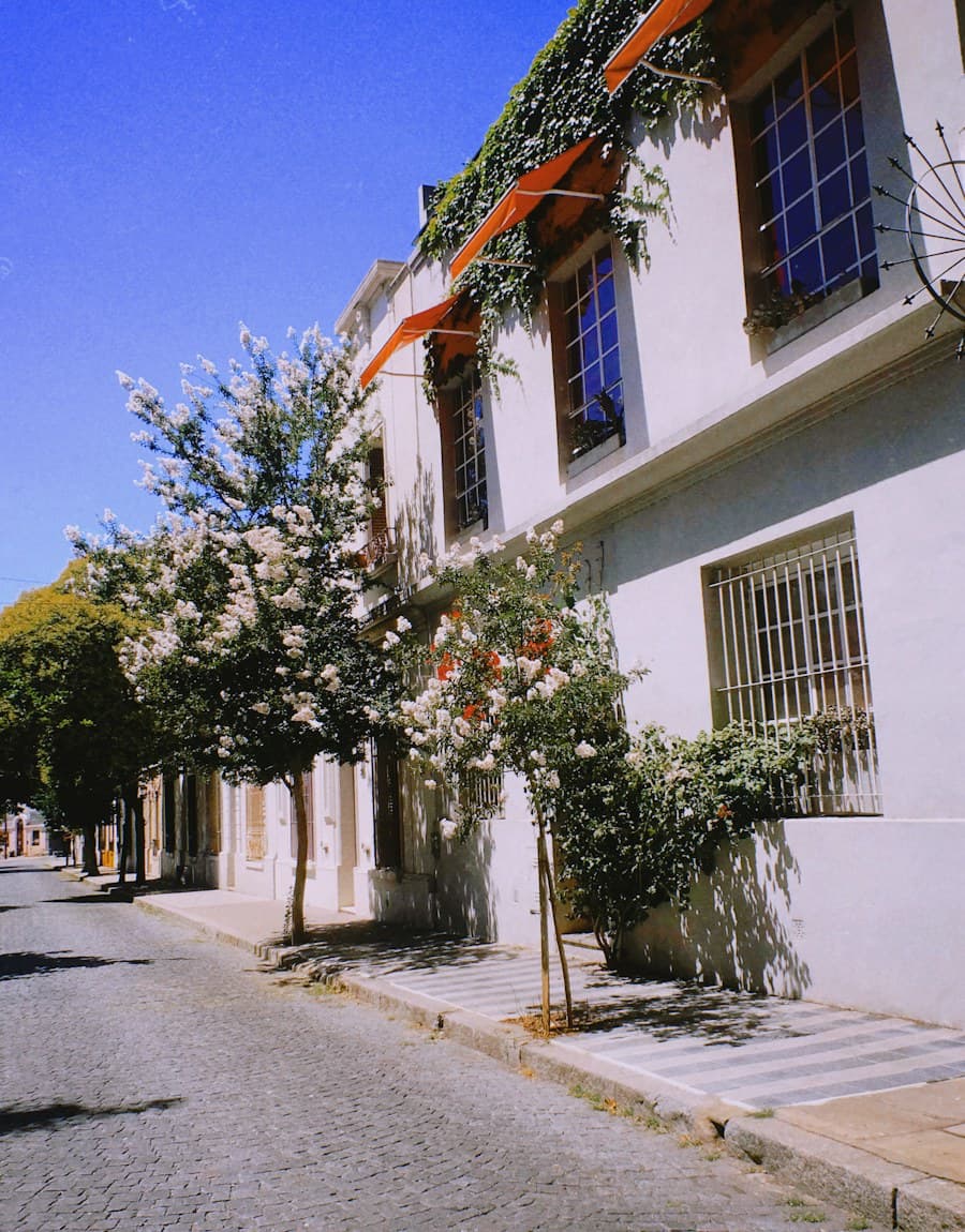Palermo